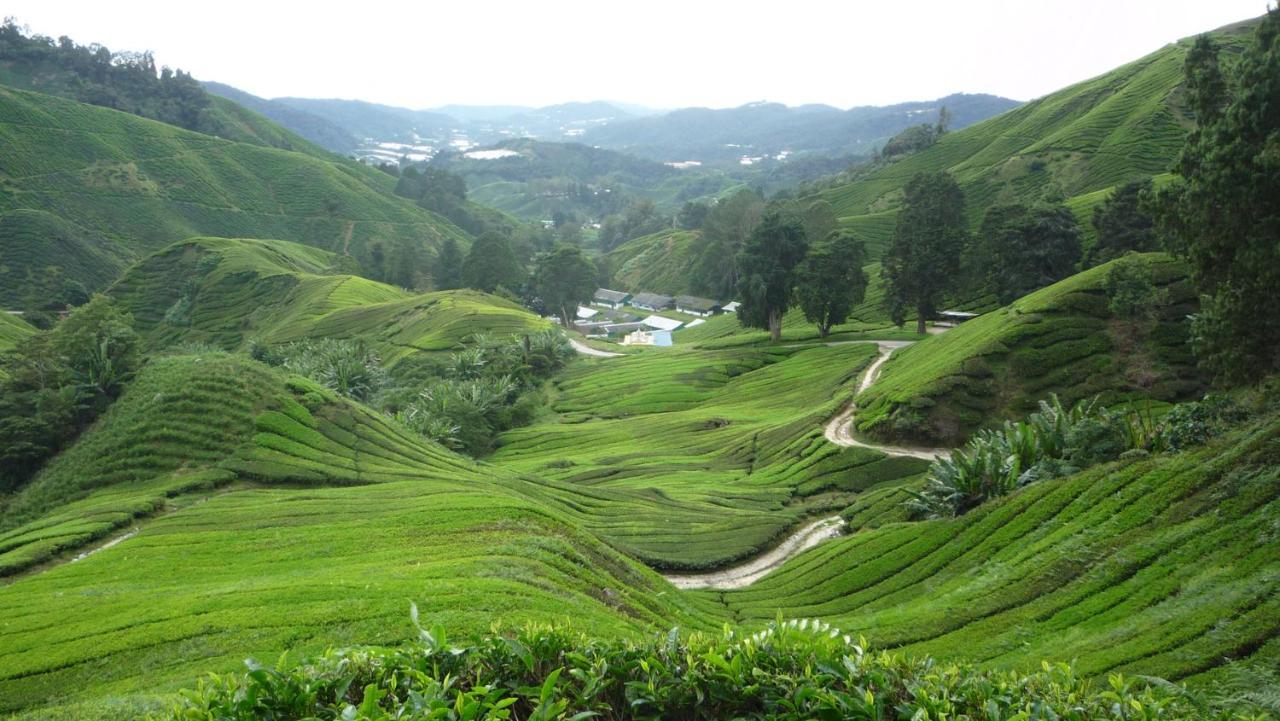 The Quintet Cameron Highlands By Tulip Tanah Rata Exterior photo