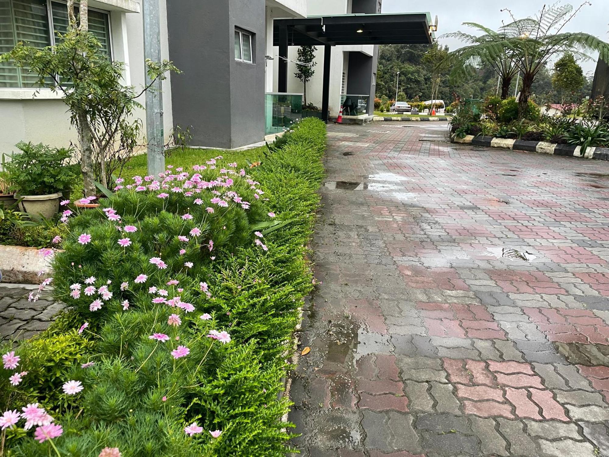 The Quintet Cameron Highlands By Tulip Tanah Rata Exterior photo